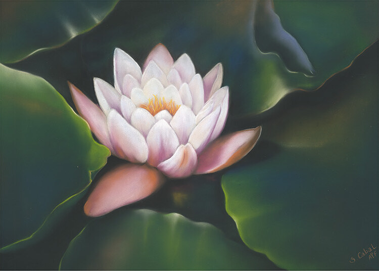 Sérénité à Giverny